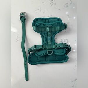 Green WildOne Dog Harness and Collar Set